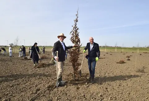 Cobouw interview met Michiel Stevens